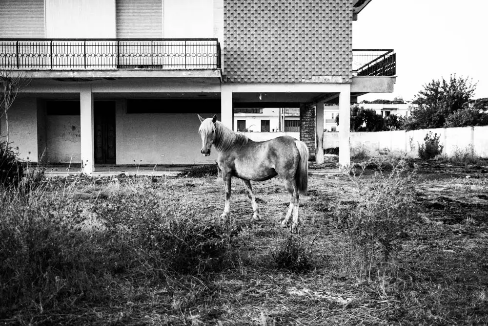 © Simona De Pascalis | fotografia documentaristica